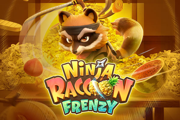 ninja-racoon-frenzy"